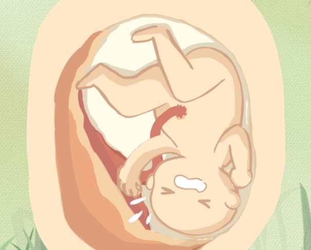 胎兒心跳停止原因 胎兒心跳停止原因